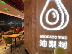 -油梨树AVOCADO TREE(嘉里中心店)