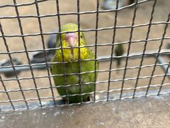 -南宫五洲植物乐园