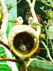 -Zoolung Zoolung动物主题公园(海信广场店)