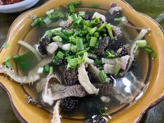 -小杨翘脚牛肉