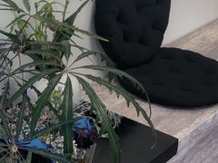 -你好独角兽·蛋糕甜品