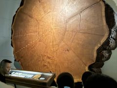 -美国自然历史博物馆