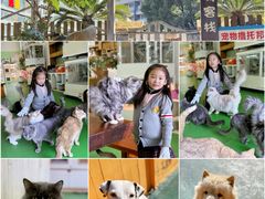 -上海佘山世茂艾美酒店