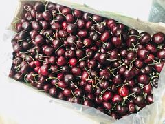 -江杨农产品批发市场