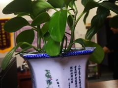 -张钰强中医正骨推拿连锁(唐家人才公寓店)