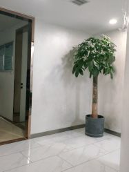 点击看大图 -杭州星婉馨悦医疗美容