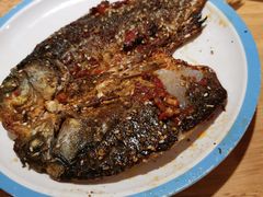 -龚海宝· 烧烤· 羊肉原切挂糊更好吃(庄市店)