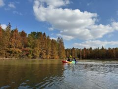 -上海海湾国家森林公园