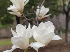 -白塘生态植物园