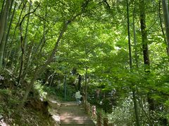 -敬亭山风景名胜区