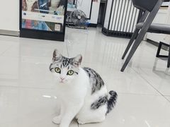 -视佳眼镜EYE(中山北路店)
