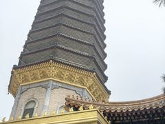 -喜剧部落脱口秀(三里屯店)