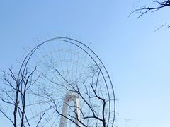 -七桥瓮公园