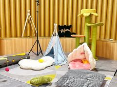 -山宅一喵德文卷毛猫舍