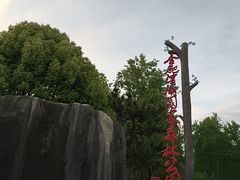 -合肥滨湖国家森林公园