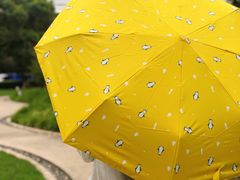 -上海滴水湖皇冠假日酒店