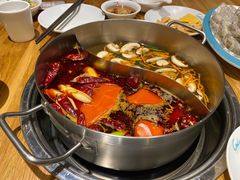 -青瓷火锅料理(西单大悦城店)