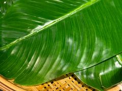 -甘家界牌柠檬鸭(青山店)