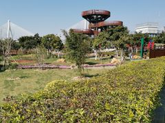 -芒洲湿地公园