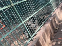 -秦皇岛野生动物园