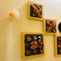 -芳朵美容养生SPA