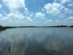 -东滩湿地公园观海楼餐厅