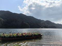 -广州市石门国家森林公园