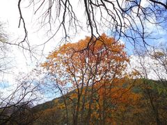 -叠溪松坪沟景区