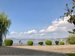 -才村湿地公园