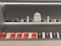 -TESLA 特斯拉(上海太古汇体验店)