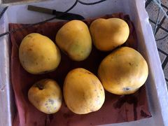 -海口骑楼小吃街