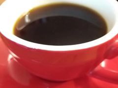 哥斯达黎加-参差咖啡(水果湖公园店)