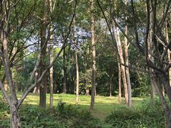 -深圳国际园林花卉博览园