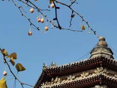 -玲珑塔公园