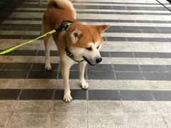 -去茶山(新光里店)