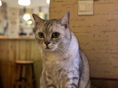 -隅cafe(傅厚岗店)