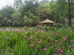 -重庆彩云湖湿地公园