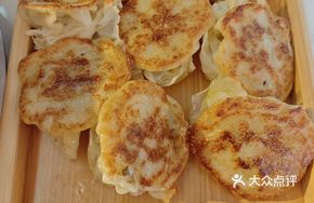 Pan-fried Dumplings