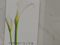 -福奈特洗衣洗鞋(宝华广场店)