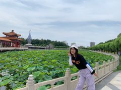 -南戴河国际娱乐中心