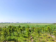 -南汇嘴观海公园