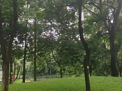 -晓港公园