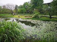 -西溪国家湿地公园