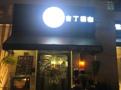 门面-吉丁鸟咖·异宠·寄养