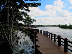 -东寨港红树林旅游区