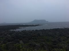 -涉地可支