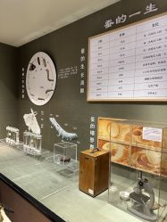 -太湖雪蚕桑文化园