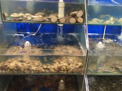 -雅逸居海鲜小厨