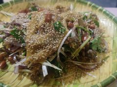 -东鸽皇(奥园·中环广场店)