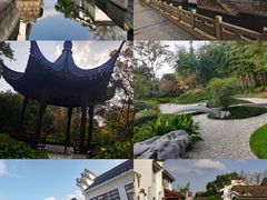 -上海共青森林公园